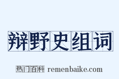 辩野史组词是什么意思的图片